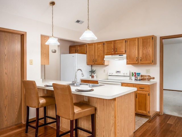 2594 Roberts Ct, Hilliard, OH 43026 - kitchen featuring white appliances, a sink, under cabinet range hood, a peninsula, and light countertops