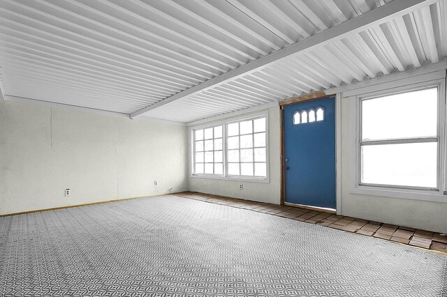 4980 Comstock Dr, Columbus, OH 43232 - entryway featuring plenty of natural light and carpet flooring