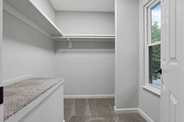 338 Gentlewind Dr, Westerville, OH 43081 - spacious closet featuring carpet flooring