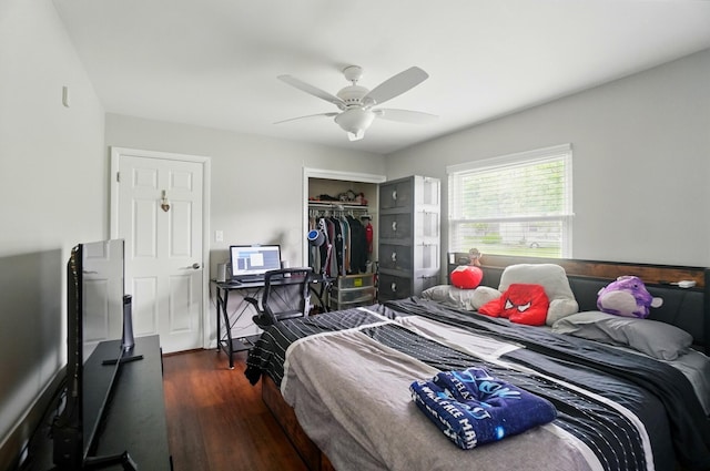 1096 Lancaster Ave, Reynoldsburg, OH 43068 - bedroom featuring wood finished floors, a closet, and a ceiling fan