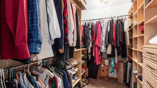4171 Clotts Rd, Columbus, OH 43230 - spacious closet with carpet floors