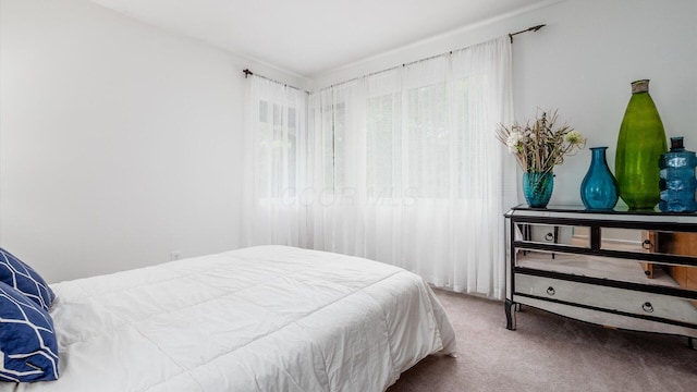 4171 Clotts Rd, Columbus, OH 43230 - view of carpeted bedroom