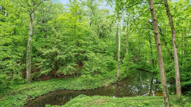4171 Clotts Rd, Columbus, OH 43230 - view of woods