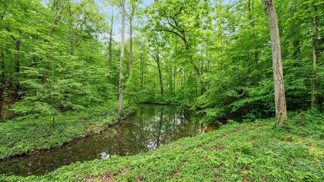 4171 Clotts Rd, Columbus, OH 43230 - view of tree filled area