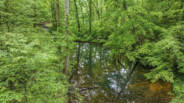 4171 Clotts Rd, Columbus, OH 43230 - water view with a forest