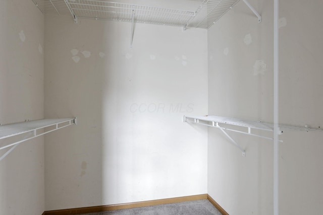 6446 Berry Pond Way, Canal Winchester, OH 43110 - view of spacious closet
