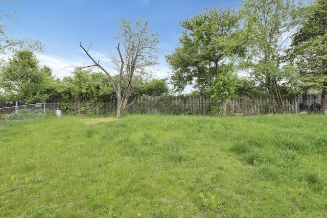 6446 Berry Pond Way, Canal Winchester, OH 43110 - view of yard