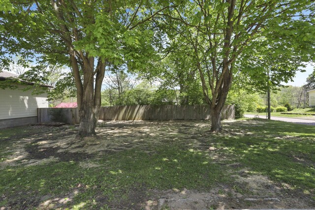 901 E Vine St, Mount Vernon, OH 43050 - view of yard