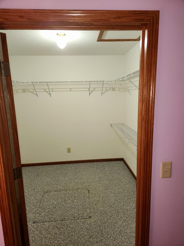 5747 E Clinton St, Albany, OH 45710 - walk in closet with carpet