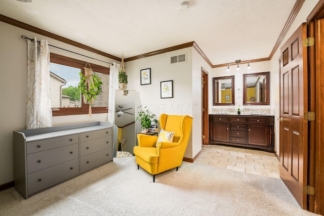2862 Shady Ridge Dr, Columbus, OH 43231 - living area with crown molding, light carpet, baseboards, and a textured ceiling