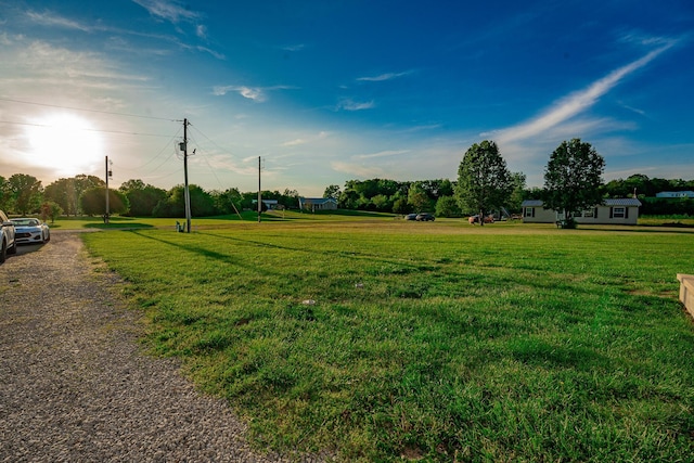 2025 Little Creek Rd, Frankfort, OH 45628 - view of green lawn