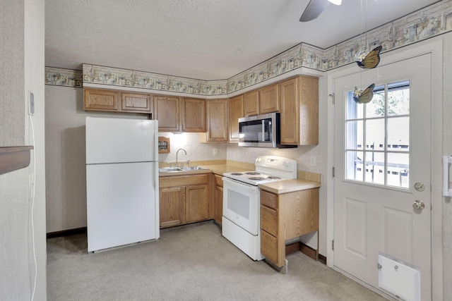 2294 Perkins Ct, Columbus, OH 43229 - kitchen featuring white appliances, a sink, light colored carpet, light countertops, and a ceiling fan