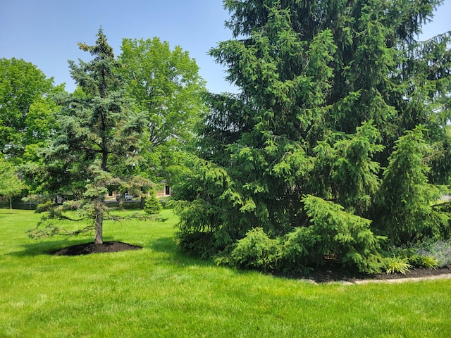 2294 Perkins Ct, Columbus, OH 43229 - view of grassy yard