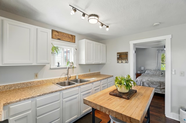 11725 Old Columbus Rd, South Vienna, OH 45369 - kitchen with a sink, white cabinets, light countertops, and plenty of natural light