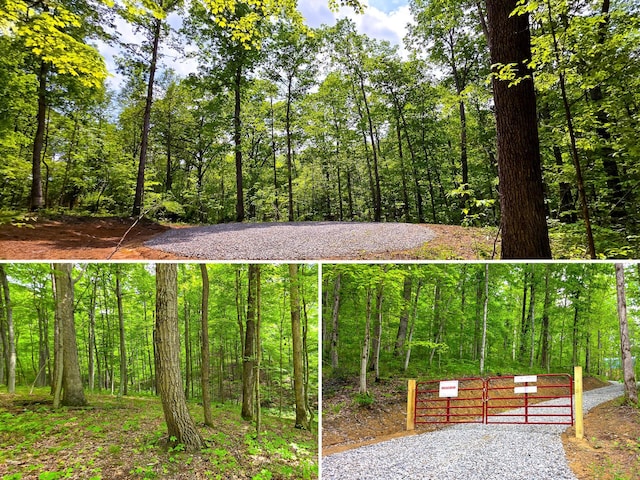 0 Edmunson Rd Unit Tract 2At, Big Timber Vinton, OH 45686