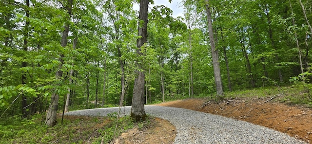 0 Edmunson Rd Unit Tract 2At, Big Timber Vinton, OH 45686