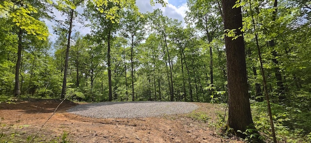 0 Edmunson Rd Unit Tract 2At, Big Timber Vinton, OH 45686