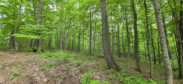 0 Edmunson Rd Unit Tract 2At, Big Timber Vinton, OH 45686