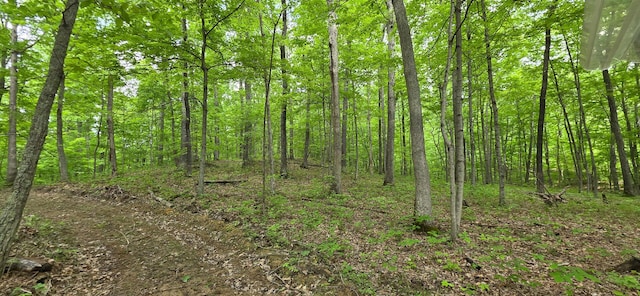 0 Edmunson Rd Unit Tract 2At, Big Timber Vinton, OH 45686