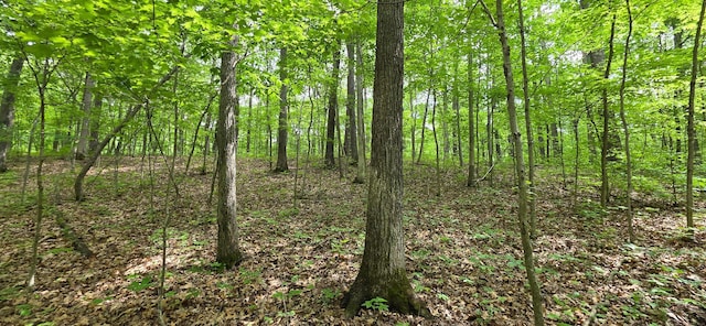 0 Edmunson Rd Unit Tract 2At, Big Timber Vinton, OH 45686
