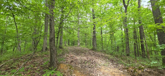 0 Edmunson Rd Unit Tract 2At, Big Timber Vinton, OH 45686