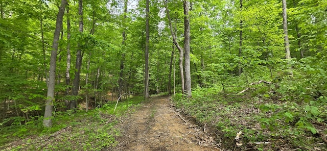 0 Edmunson Rd Unit Tract 2At, Big Timber Vinton, OH 45686