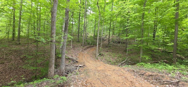 0 Edmunson Rd Unit Tract 2At, Big Timber Vinton, OH 45686