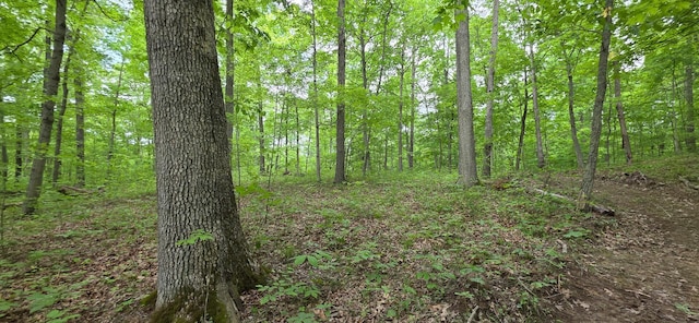 0 Edmunson Rd Unit Tract 2At, Big Timber Vinton, OH 45686