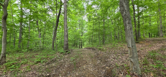 0 Edmunson Rd Unit Tract 2At, Big Timber Vinton, OH 45686