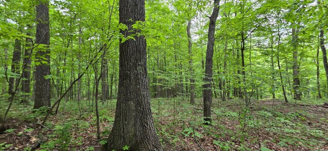 0 Edmunson Rd Unit Tract 2At, Big Timber Vinton, OH 45686