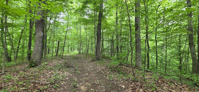 0 Edmunson Rd Unit Tract 2At, Big Timber Vinton, OH 45686