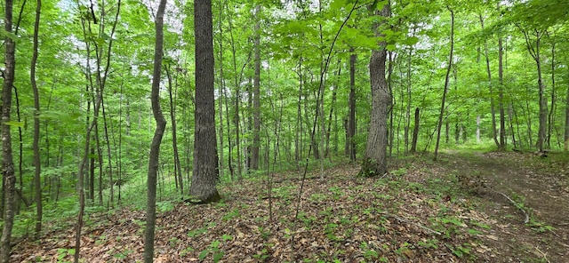 0 Edmunson Rd Unit Tract 2At, Big Timber Vinton, OH 45686