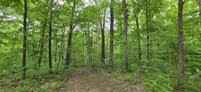 0 Edmunson Rd Unit Tract 2At, Big Timber Vinton, OH 45686