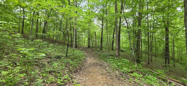 0 Edmunson Rd Unit Tract 2At, Big Timber Vinton, OH 45686