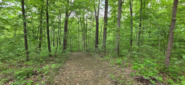 0 Edmunson Rd Unit Tract 2At, Big Timber Vinton, OH 45686
