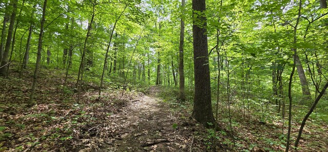 0 Edmunson Rd Unit Tract 2At, Big Timber Vinton, OH 45686