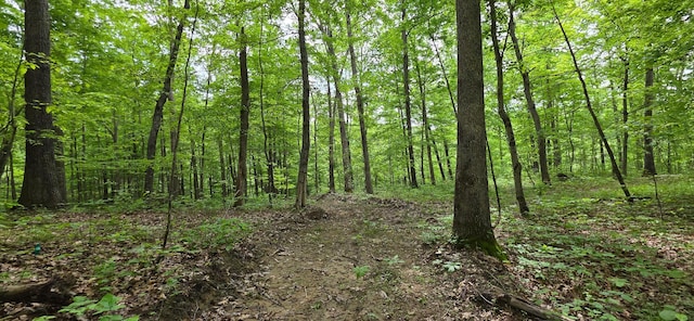 0 Edmunson Rd Unit Tract 2At, Big Timber Vinton, OH 45686
