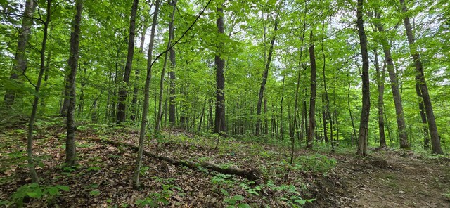 0 Edmunson Rd Unit Tract 2At, Big Timber Vinton, OH 45686