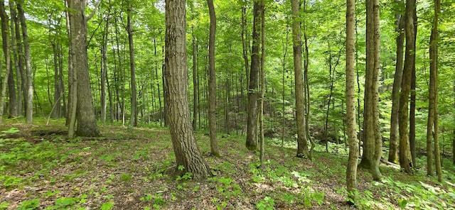 0 Edmunson Rd Unit Tract 2At, Big Timber Vinton, OH 45686