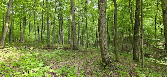 0 Edmunson Rd Unit Tract 2At, Big Timber Vinton, OH 45686