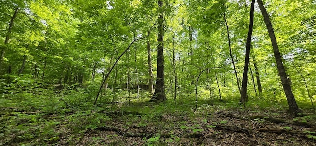 0 Edmunson Rd Unit Tract 2At, Big Timber Vinton, OH 45686