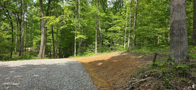 0 Edmunson Rd Unit Tract 2At, Big Timber Vinton, OH 45686