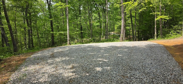 0 Edmunson Rd Unit Tract 2At, Big Timber Vinton, OH 45686