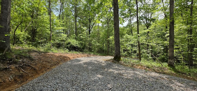 0 Edmunson Rd Unit Tract 2At, Big Timber Vinton, OH 45686