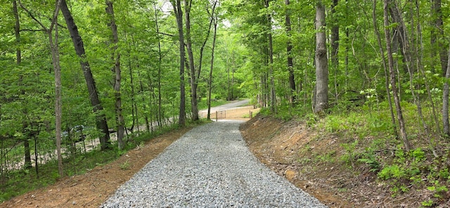 0 Edmunson Rd Unit Tract 2At, Big Timber Vinton, OH 45686