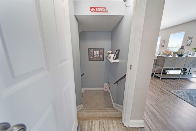 2991 Green Line Way, Columbus, OH 43231 - staircase with wood finished floors and baseboards