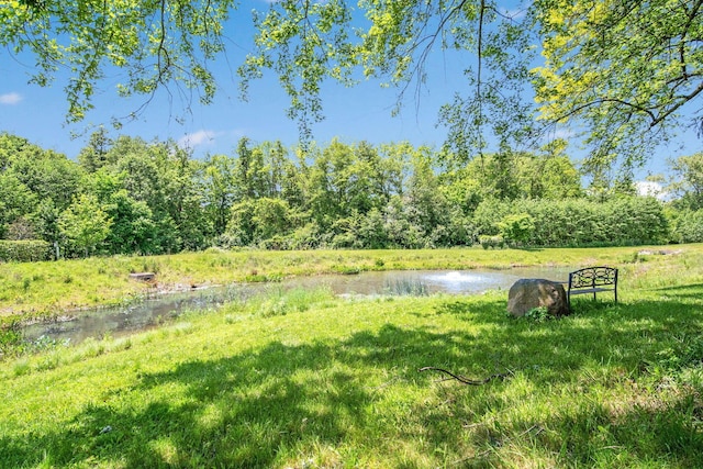 2991 Green Line Way, Columbus, OH 43231 - view of yard featuring a water view