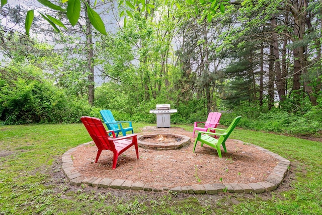 3470 State Route 314, Fredericktown, OH 43019 - view of patio featuring a fire pit and grilling area
