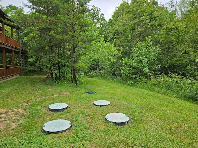 21760 State Route 93, Logan, OH 43138 - view of grassy yard