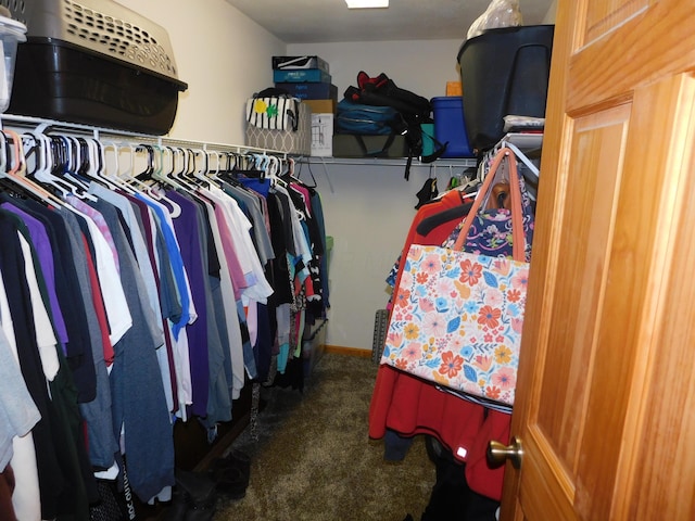 21800 State Route 47, West Mansfield, OH 43358 - spacious closet featuring carpet flooring
